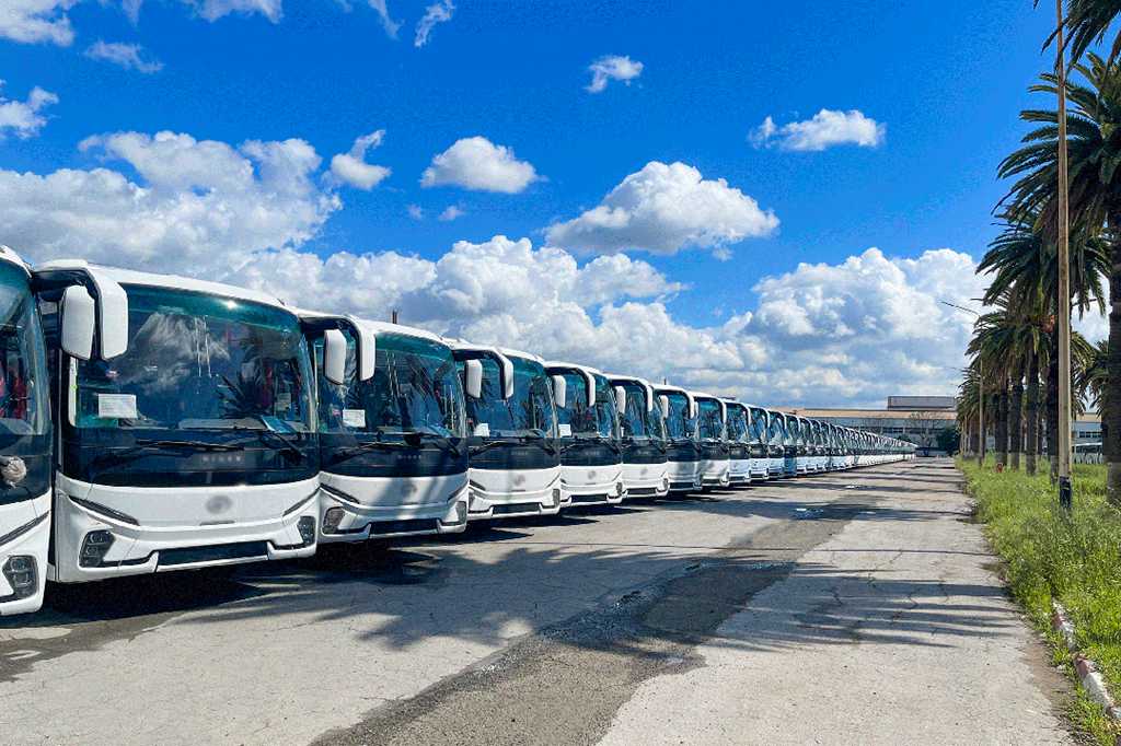 4950 единиц! Компания Weichai Bus продолжает углублять свои позиции на альжирском рынке автобусов и вновь достигает рекордных показателей.